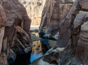 Guelta d’Archei, l’oasi straordinaria trova Sahara