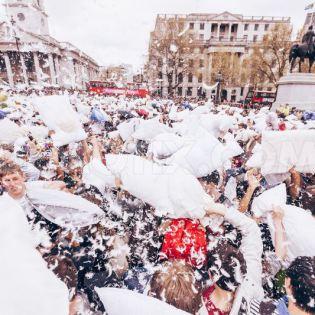 Lotta dei cuscini a Londra