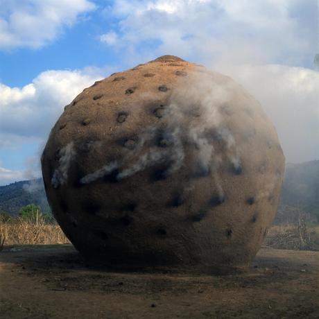 Serpentine Pavilion 2014, Smiljan Radic