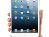 iPad, primo nella categoria tablet