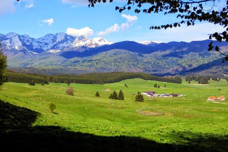 escursione sul bosco del cansiglio a malga mezzomiglio