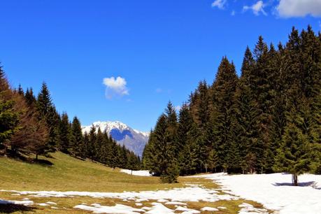 escursione sul cansiglio a malga mezzomiglio