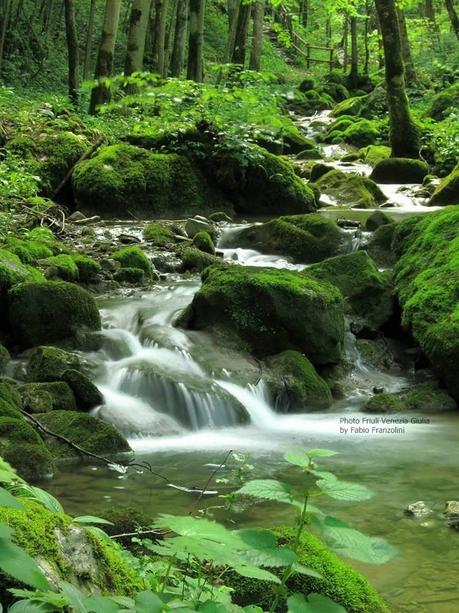 Torrente Kot, San Leonardo (UD) — con Fabio Franzolini