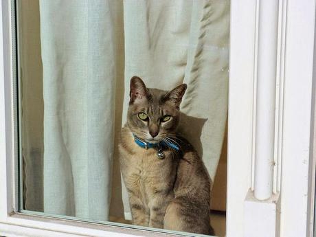 Di ritorno da Bruges: suggestioni