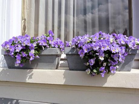 Di ritorno da Bruges: suggestioni