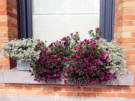 Di ritorno da Bruges: suggestioni