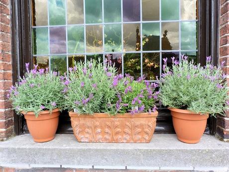 Di ritorno da Bruges: suggestioni