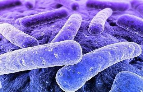 Fermenti lattici: miti da sfatare