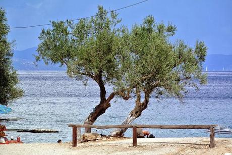 Travel experience: La Grecia di Ulisse #4