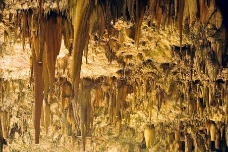 Travel experience: La Grecia di Ulisse #3