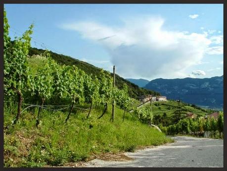 Degustazione di Cantina Zeni . . . all' Enoteca partenopea