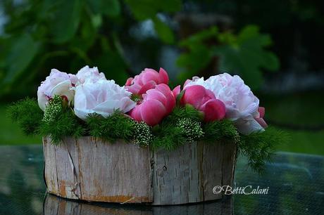 peonie_taste_22_