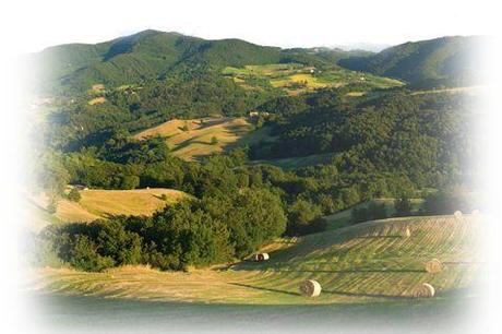 La straordinaria bontà del Parmigiano Reggiano del Caseificio di Marola