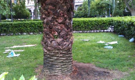I giardini di piazza Vittorio in un pomeriggio qualsiasi
