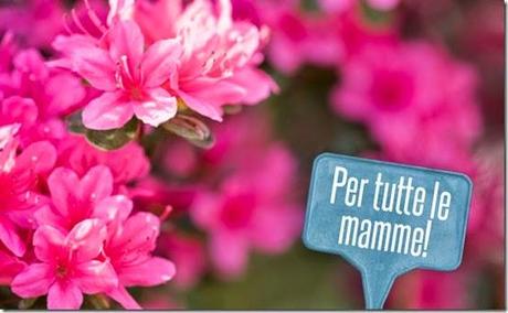 azalea-ricerca-airc-festa-mamma