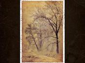 HIDEOUS, Last Poem First Light