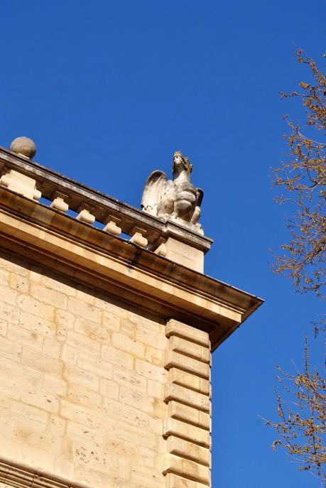 Avignone: la regina del Rodano!