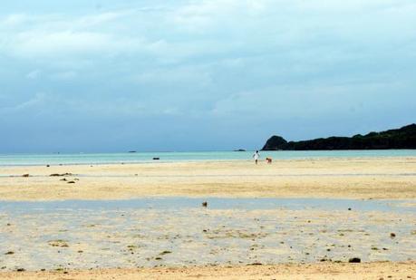 sukuji, ishigaki japan