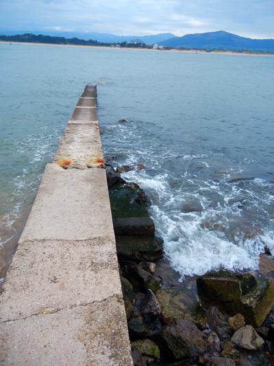 Penisola della Magdalena_santander_viaggiandovaldi