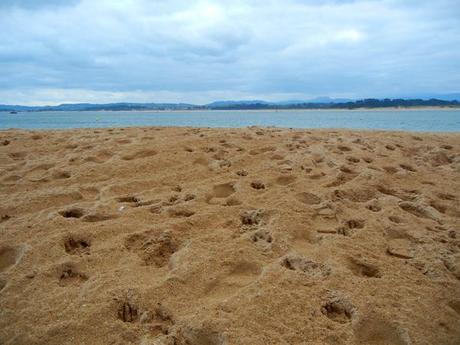 Penisola della Magdalena_santander_viaggiandovaldi