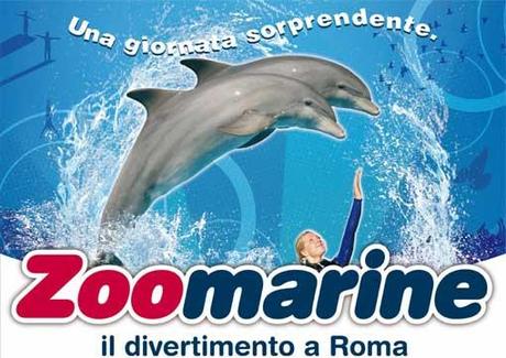 zoomarine