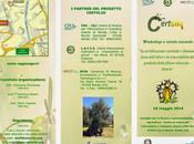 Rende, workshop-tavola rotonda certificazione varietale fitosanitaria dell’olivo tracciabilità prodotti filiera.