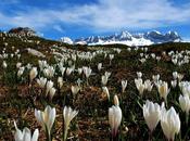 Monte Canin dalle Malghe Montasio-by Andrea Piussi