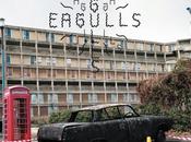 Eagulls
