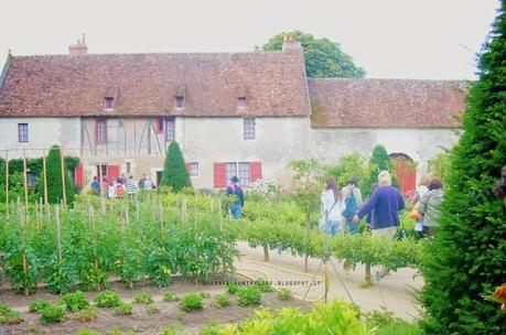 Giardini e orti meravigliosi di Francia