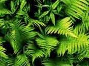 Leggere libro della Natura