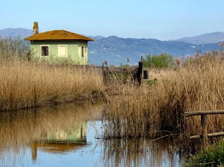 In migliaia alla Festa del Padule nella Giornata dei parchi