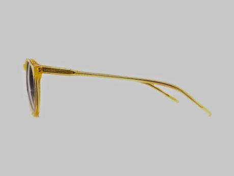 MUST HAVE: Bird Cage Eyewear