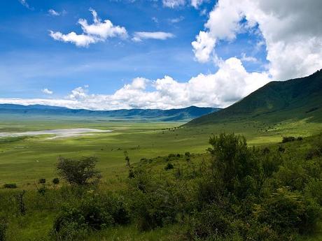 Ngorongoro