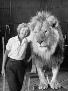 Lion Tamer