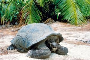 Seychelles seychelles_gallery06