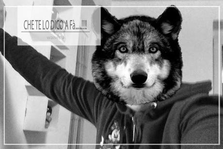 Una lasagna  offline ovvero insofferente.