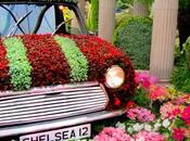 mito Chelsea Flower Show Londra