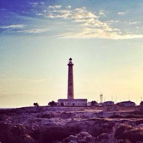 Da Favignana con amore...[e la tartare di tonno]