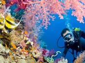 Vacanze, sole mare: ecco Marsa Alam
