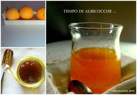 Tempo di albicocche. Gelatina bruna e marmellata.