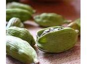 cardamomo, spezia effetti benefici