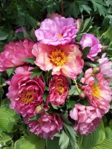 20140501_122053 (Copia)