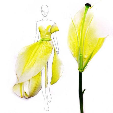 fashion-illustrations-flower-petals-grace-ciao-2__605