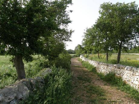 18 Maggio - Giornata OASI WWF Gioia del Colle