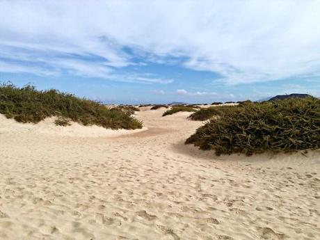 Fuerteventura - Isole Canarie, Spagna