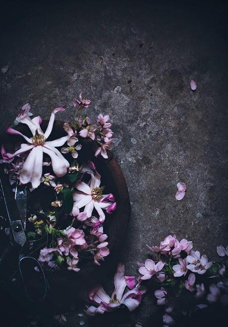 macarons, cakes and flowers