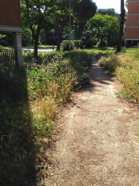 Il non aggettivabile stato delle aree verdi della città. Puoi andare nella savana senza neppure pigliare l'aereo e fare i vaccini