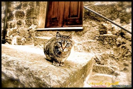 un Paese di Pietra, Abbadia San Salvatore