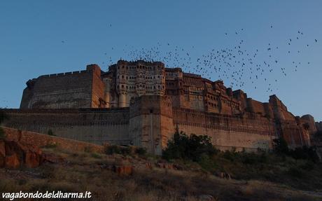 rajasthan