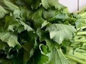 Furti campi, fenomeno espansione